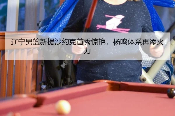 辽宁男篮新援沙约克首秀惊艳，杨鸣体系再添火力
