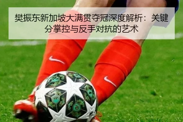 fan-zhen-dong-xin-jia-po-da-man-guan-duo-guan-shen-du-jie-xi-guan-jian-fen-zhang-kong-yu-fan-shou-dui-kang-de-yi-shu-3-336.jpg