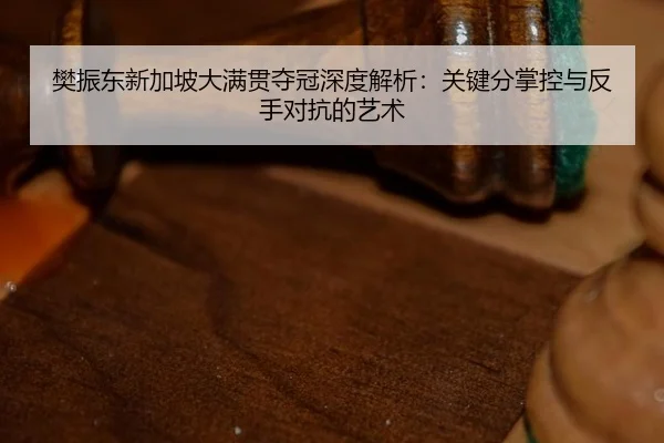 樊振东新加坡大满贯夺冠深度解析：关键分掌控与反手对抗的艺术