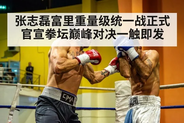 heavyweight boxing fight