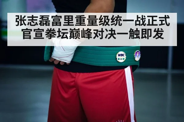 boxing champion belt